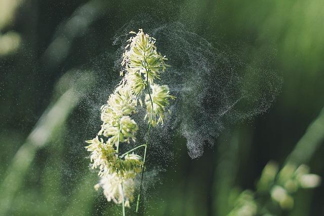 Die GUI-Studie: Teppiche und Fußmatten bei Allergien und Asthma geeignet