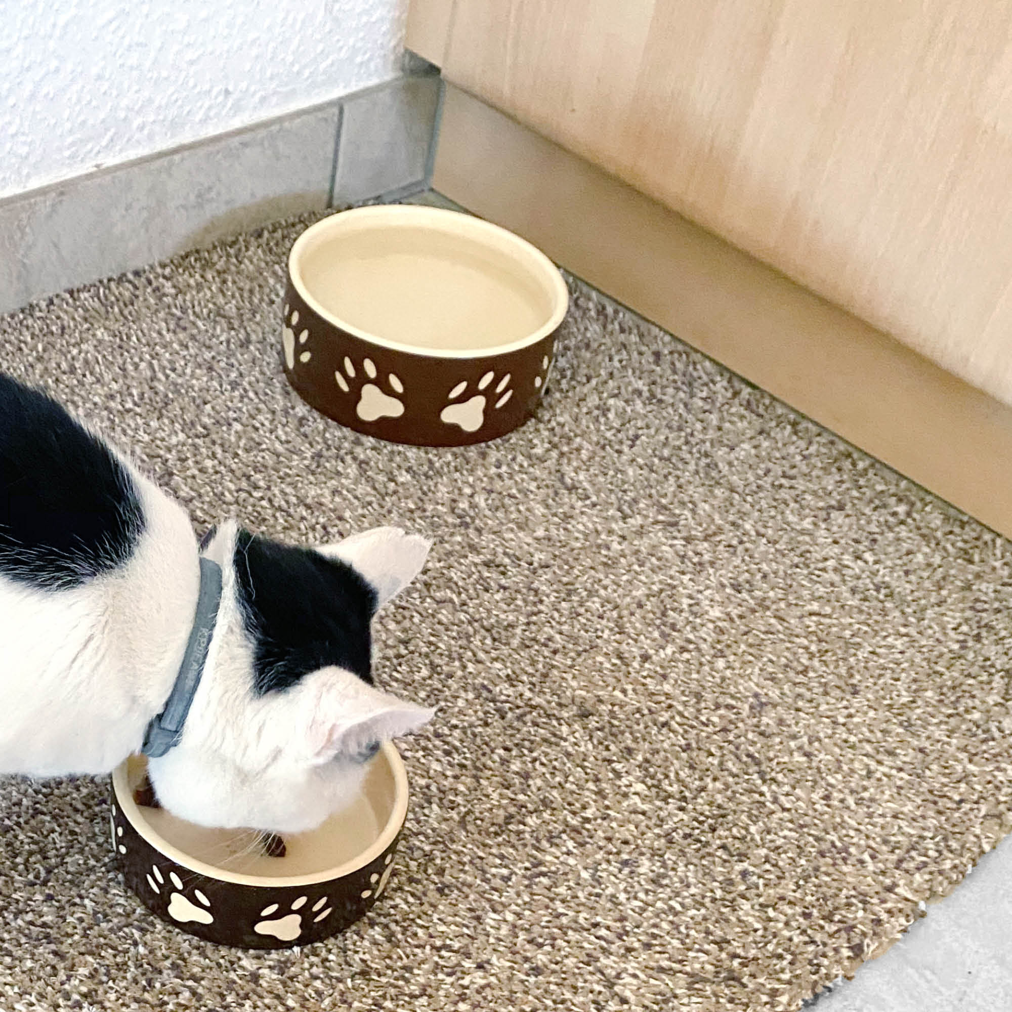 Fußmatte ENTRA SAUGSTARK 2er Set – Baumwolle, waschbar