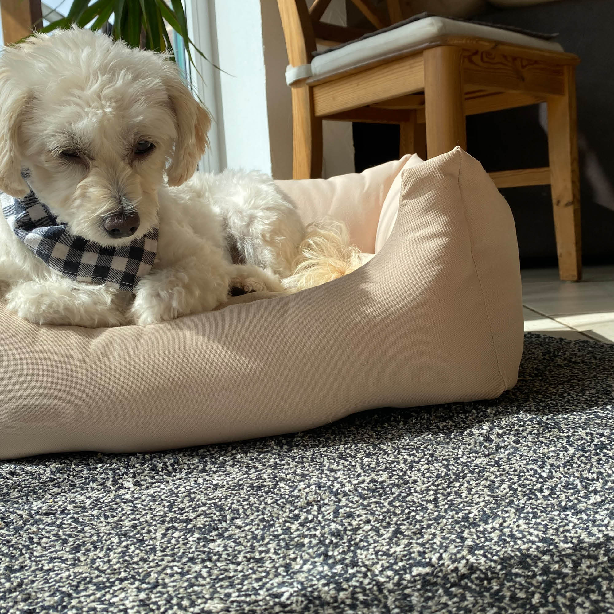 Fußmatte ENTRA SAUGSTARK 2er Set – Baumwolle, waschbar