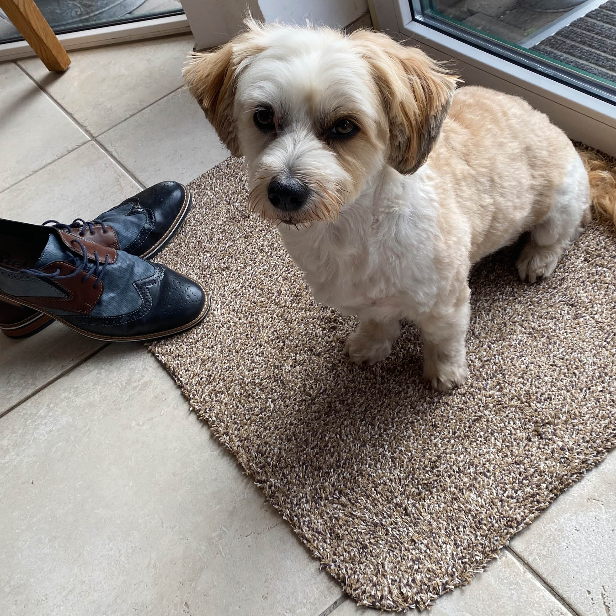 Fußmatte ENTRA SAUGSTARK 2er Set – Baumwolle, waschbar