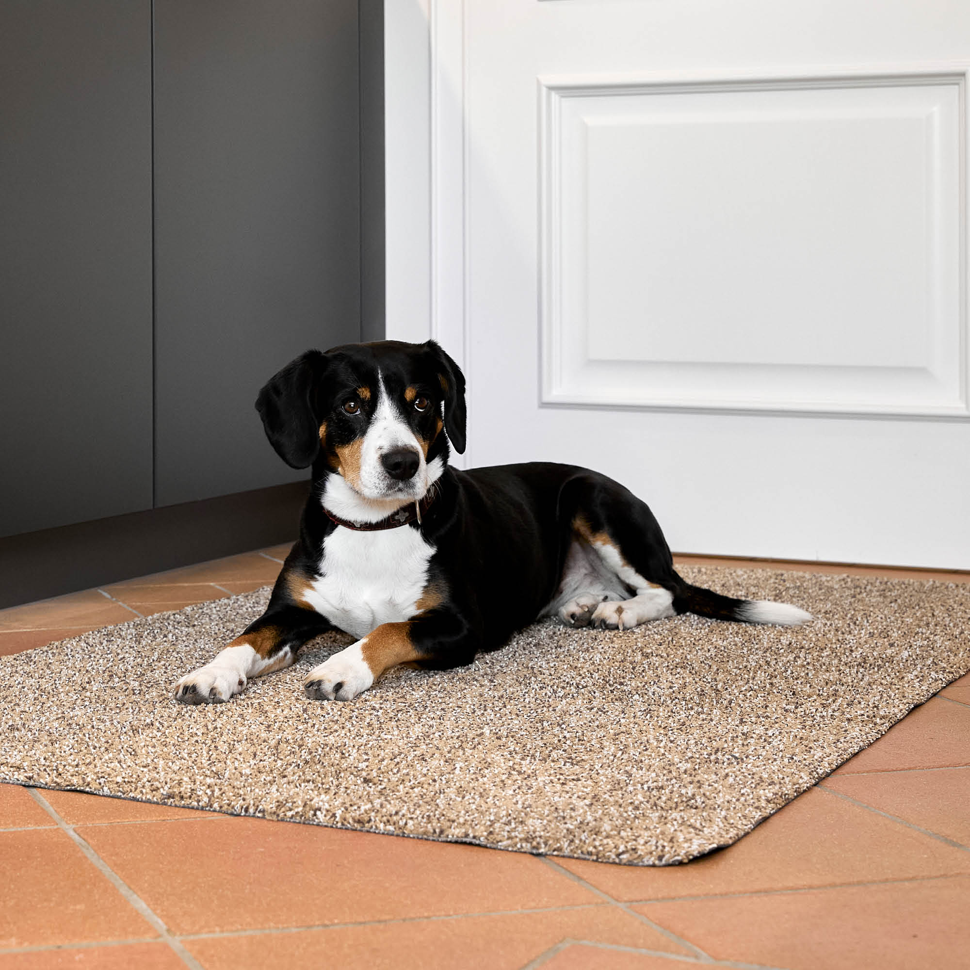 Fußmatte ENTRA SAUGSTARK 2er Set – Baumwolle, waschbar